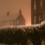 Snowy Night Shot